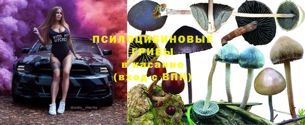 твердый Куйбышев